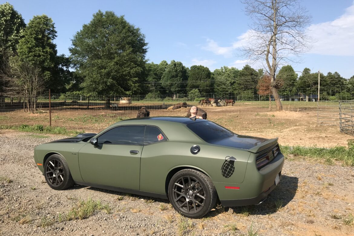 A green car parked in the grass near some trees