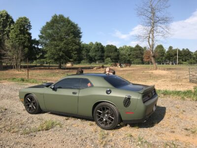 A green car parked in the grass near some trees