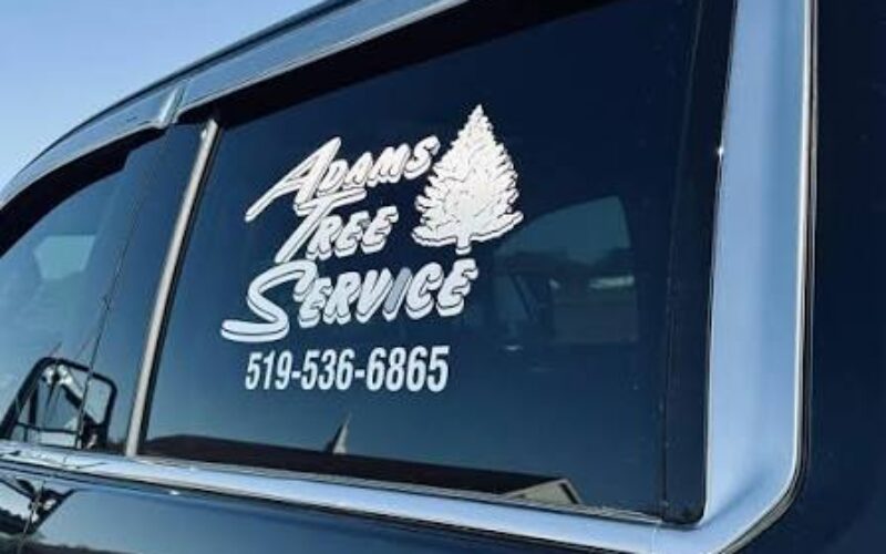 https://queencitytint.com/wp-content/uploads/2026/06/DECALS-VINYL-LETTERING-800x500.jpeg